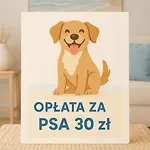 Nadmorski Bursztyn - Debina 4*