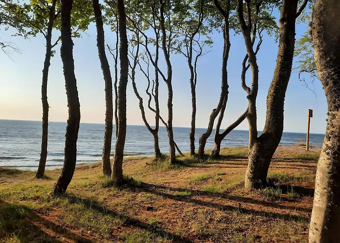 Apartmanhotel Nadmorski Bursztyn - Debina